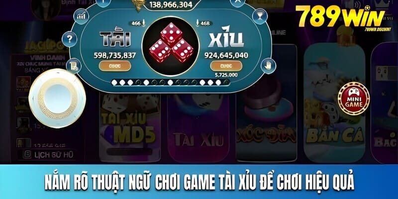 mot-so-thuat-ngu-thuong-gap-trong-game-tai-xiu-sanh-rong